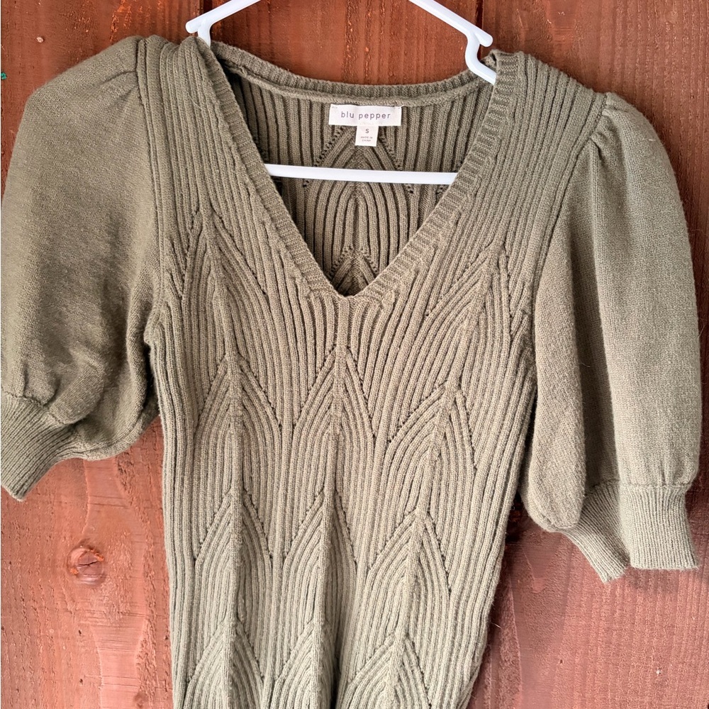 Blu Pepper green V-Neck Sweater